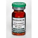 BOLDENONE 300
