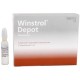 WINSTROL DEPOT